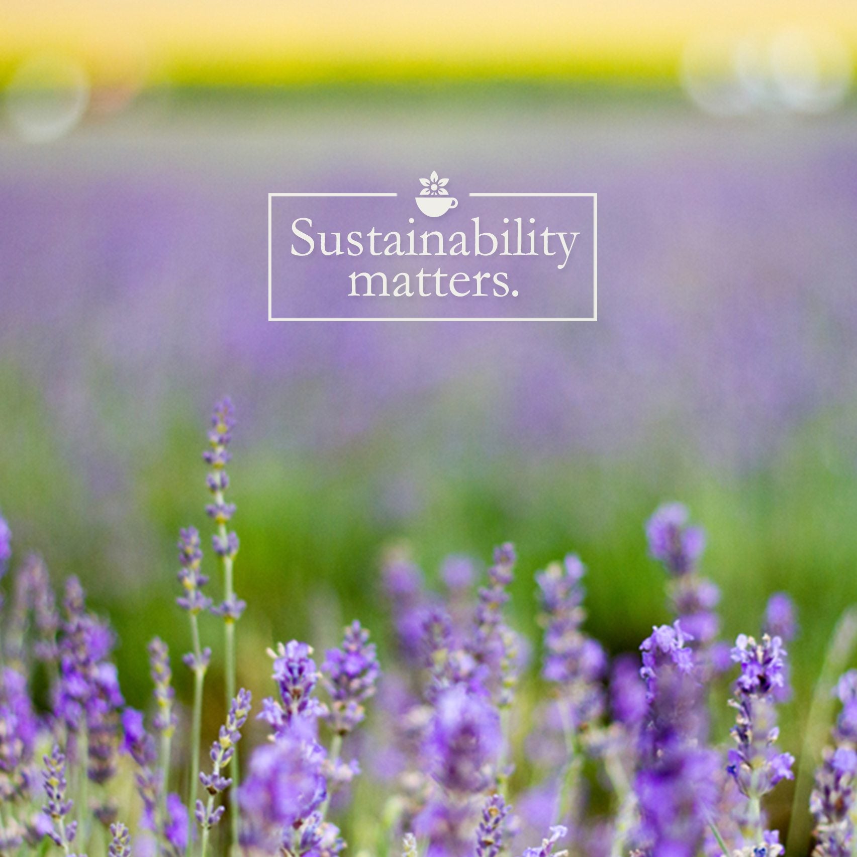 sustainability matters graphic