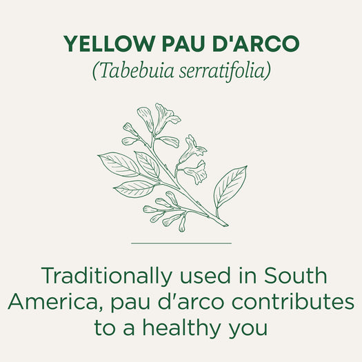 Pau d'Arco Tea