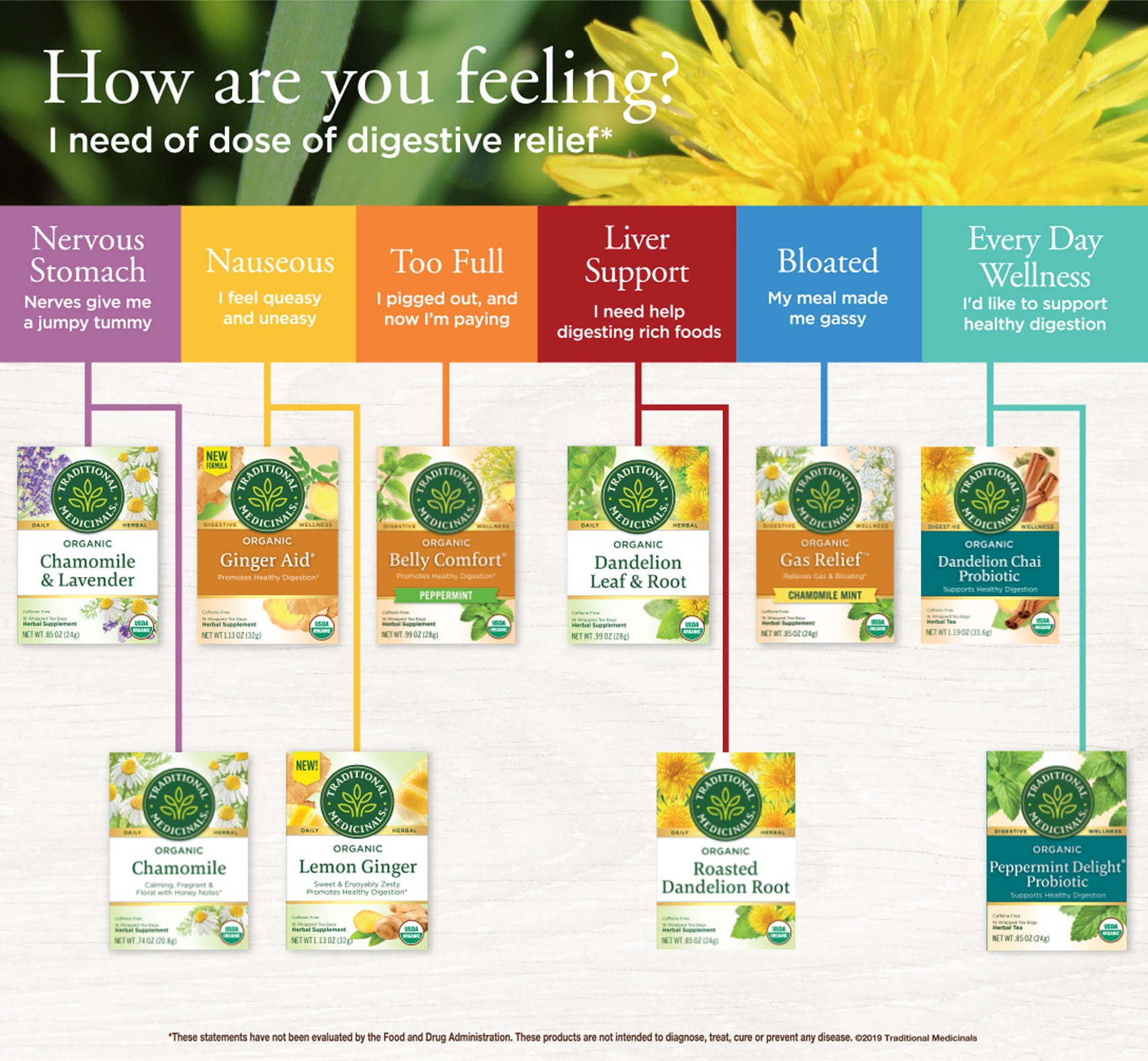 Digestion Decision Tree infographic