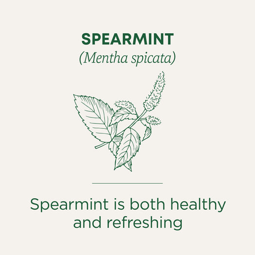 Spearmint Tea