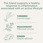 Turmeric with Meadowsweet & Ginger Tea