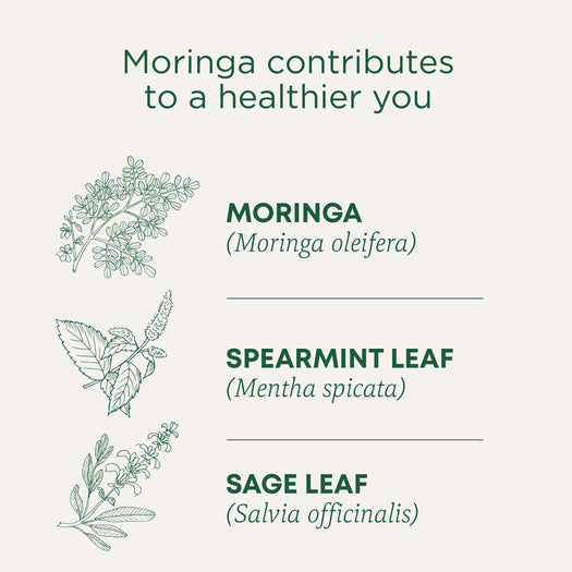 Moringa with Spearmint & Sage Tea