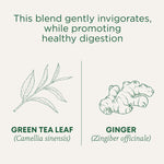 Green Tea Ginger