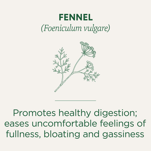 Fennel Tea