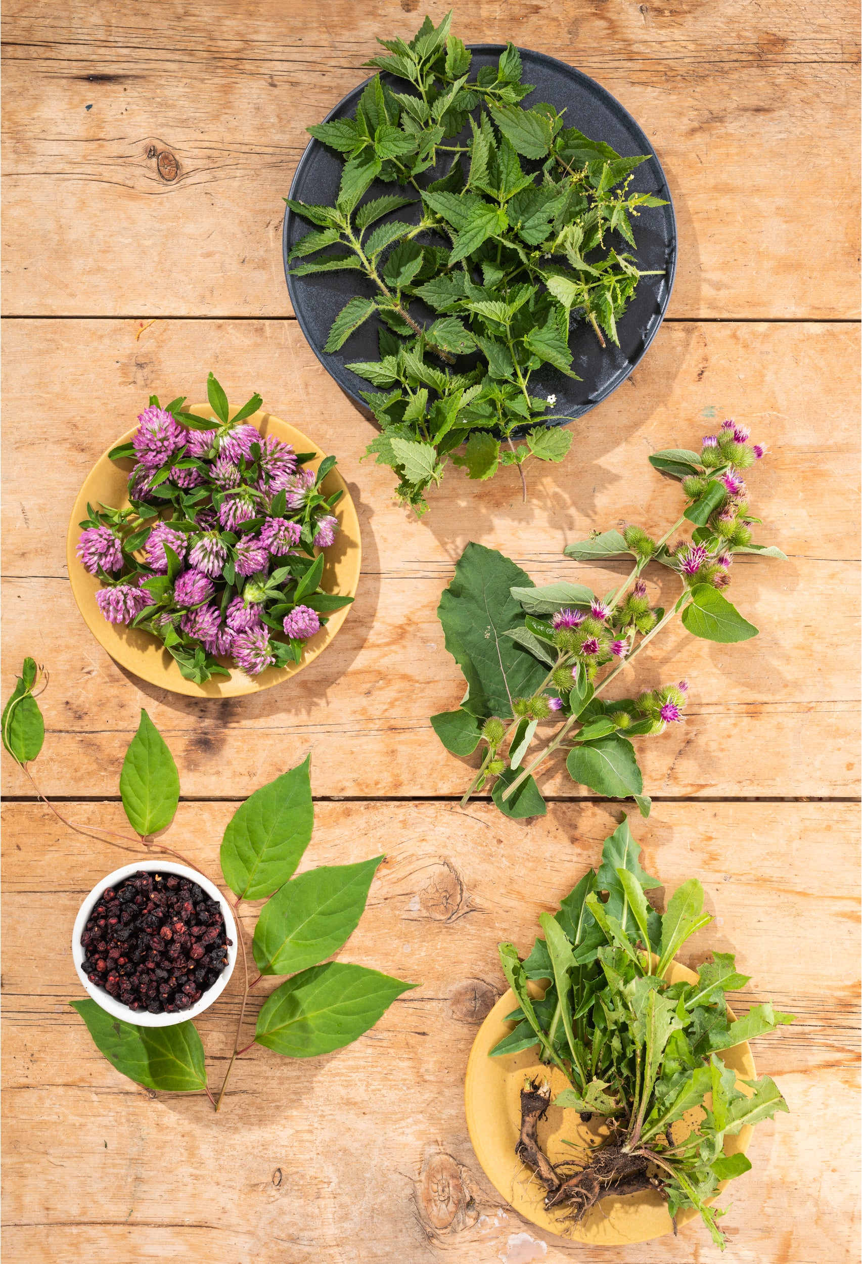 fresh herbs on table