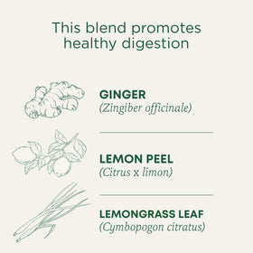 Lemon Ginger Tea