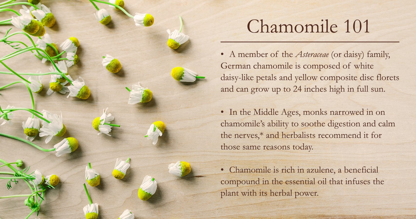 chamomile facts