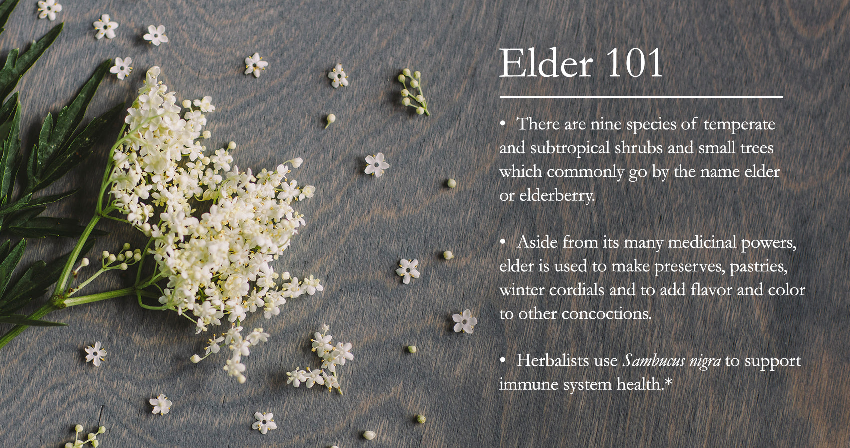elder flower facts