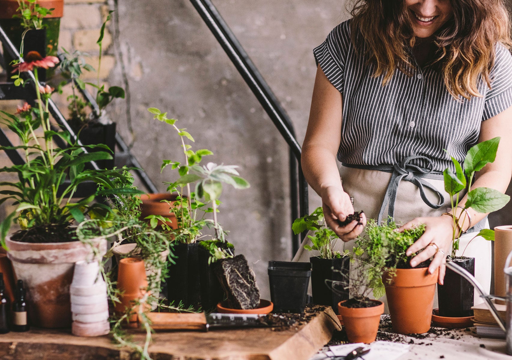 Woman putting plants into planters