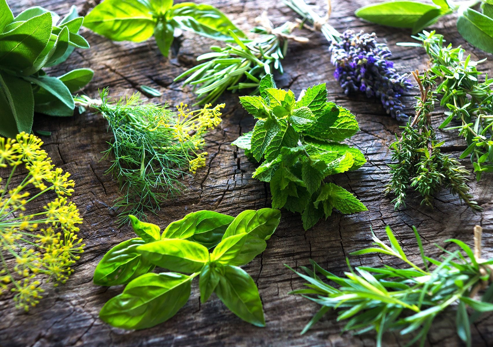 summer herbs