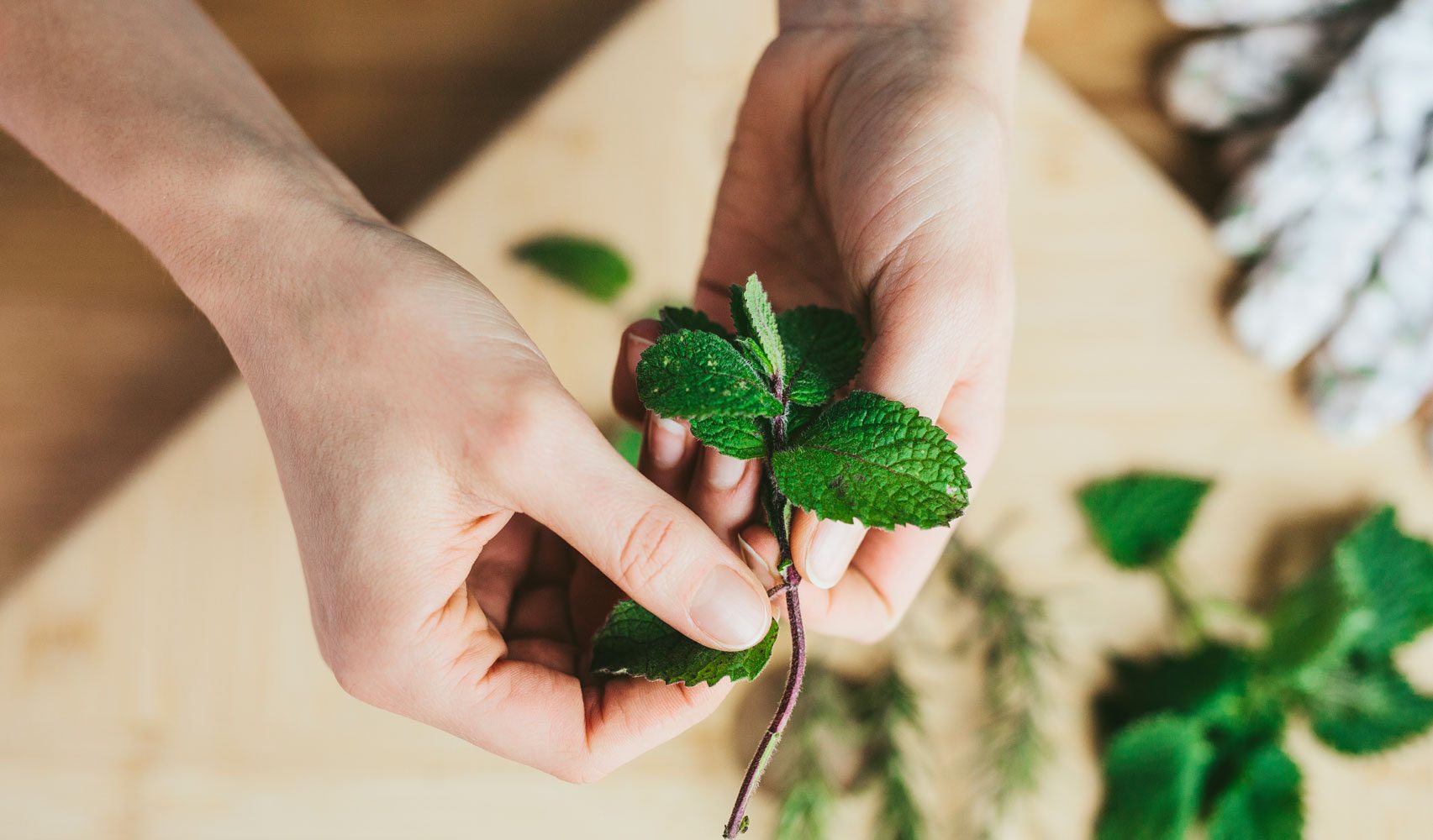 Picking herbs