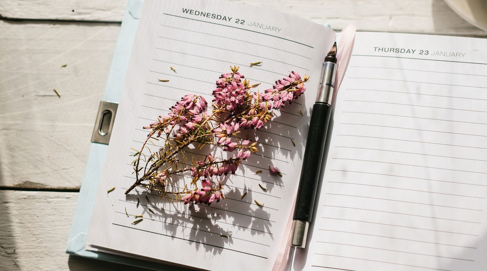 flowers resting on journal