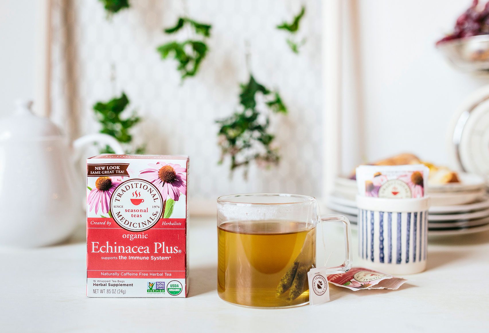  Echinacea Plus tea 