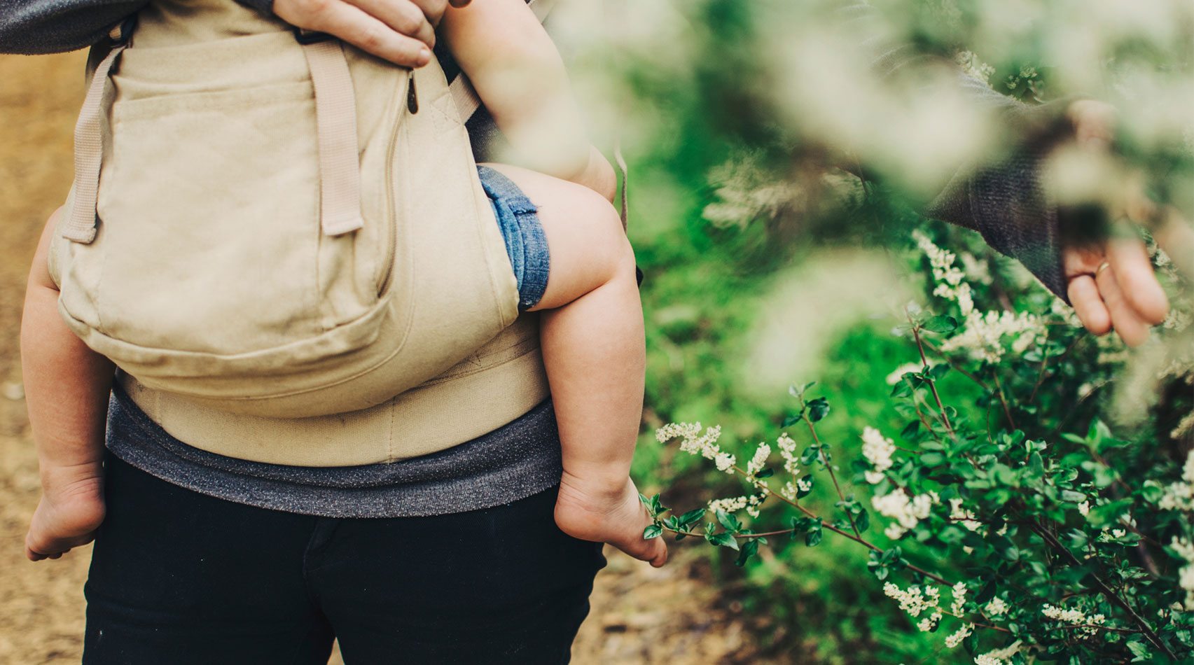 child in carrier