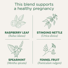 Pregnancy<sup>®</sup> Tea