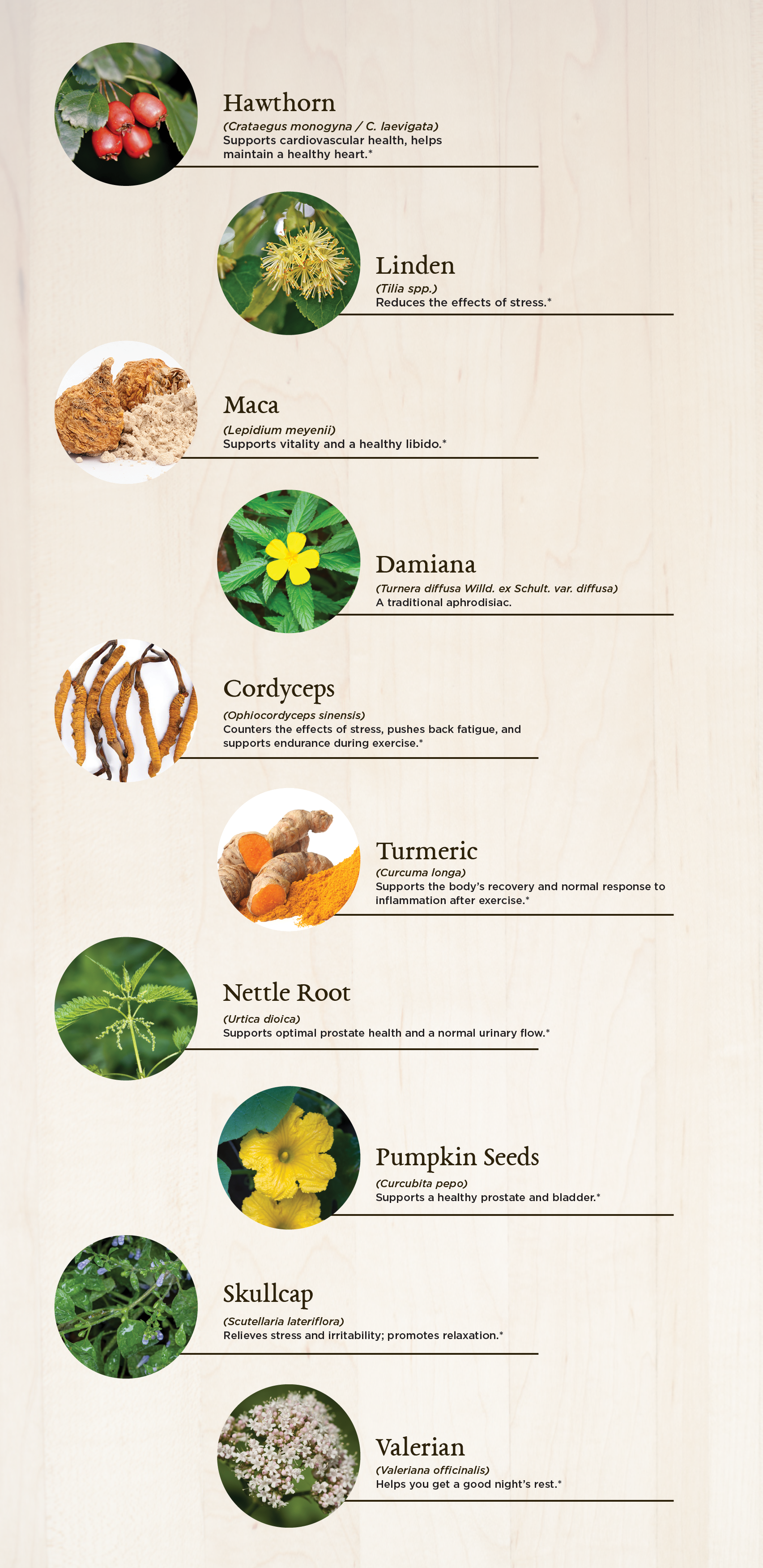 Herbs for men infographic