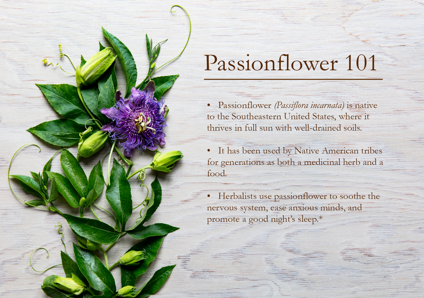 Passionflower infographic