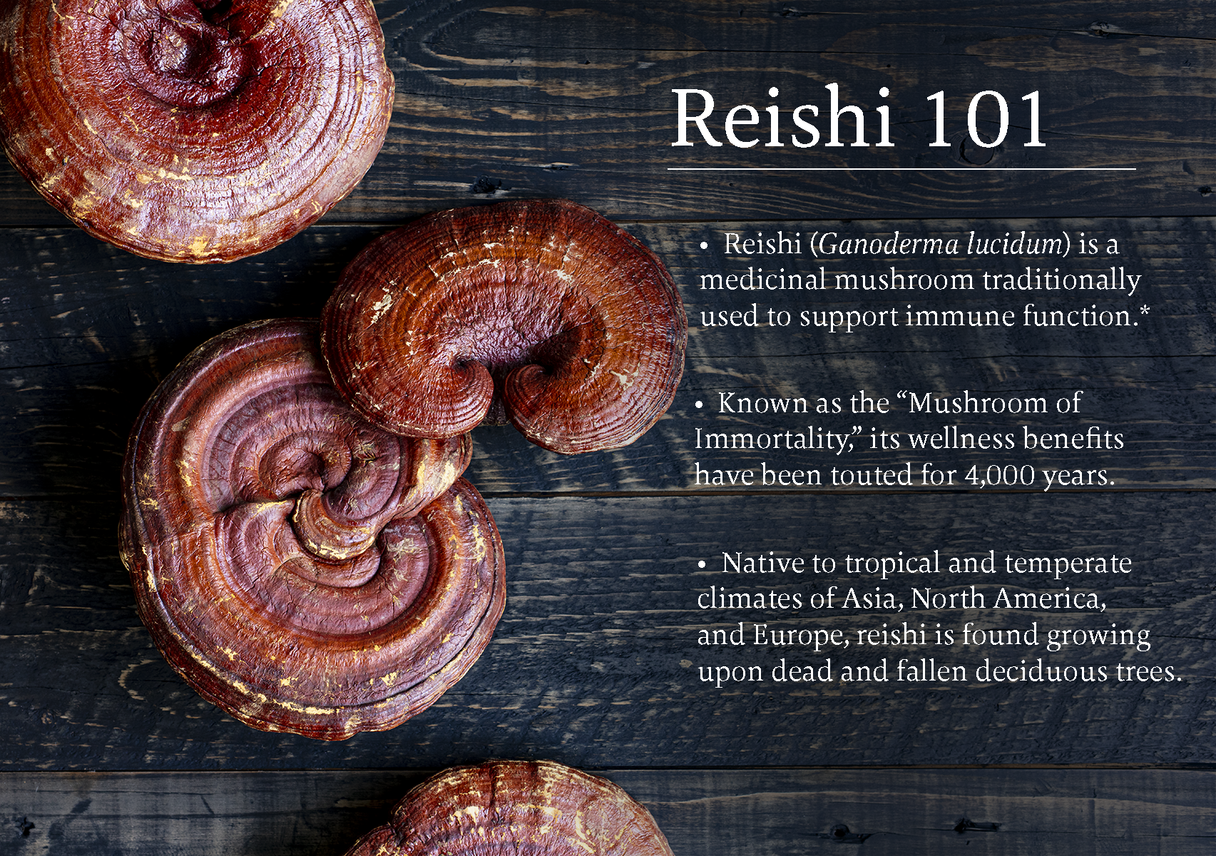 Infographic for reishi mushrooms